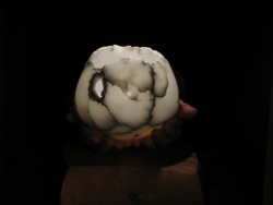 Medium white alabaster candle holder by Susan Zalkind