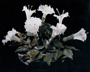 Datura